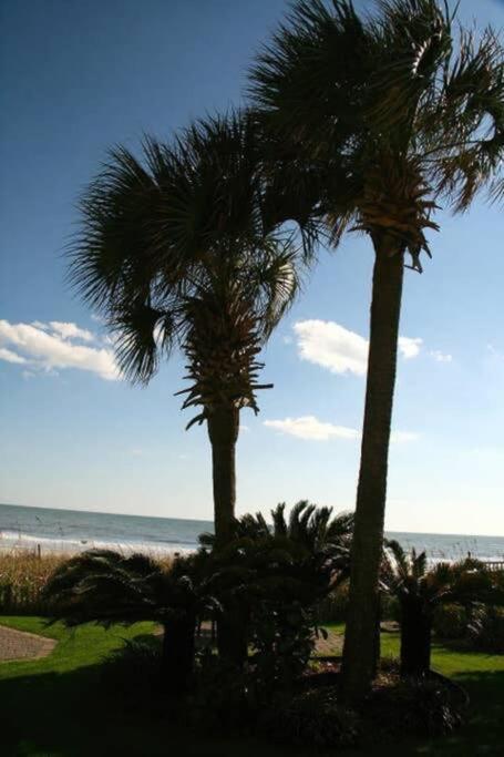 *Renovated Oceanfront Condo*Queen Beds*Pools*Hot Tubs*More*P220 Myrtle Beach Luaran gambar